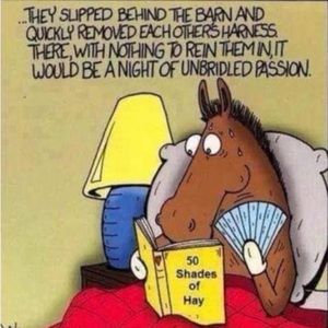 For my chicken nugget ♥️